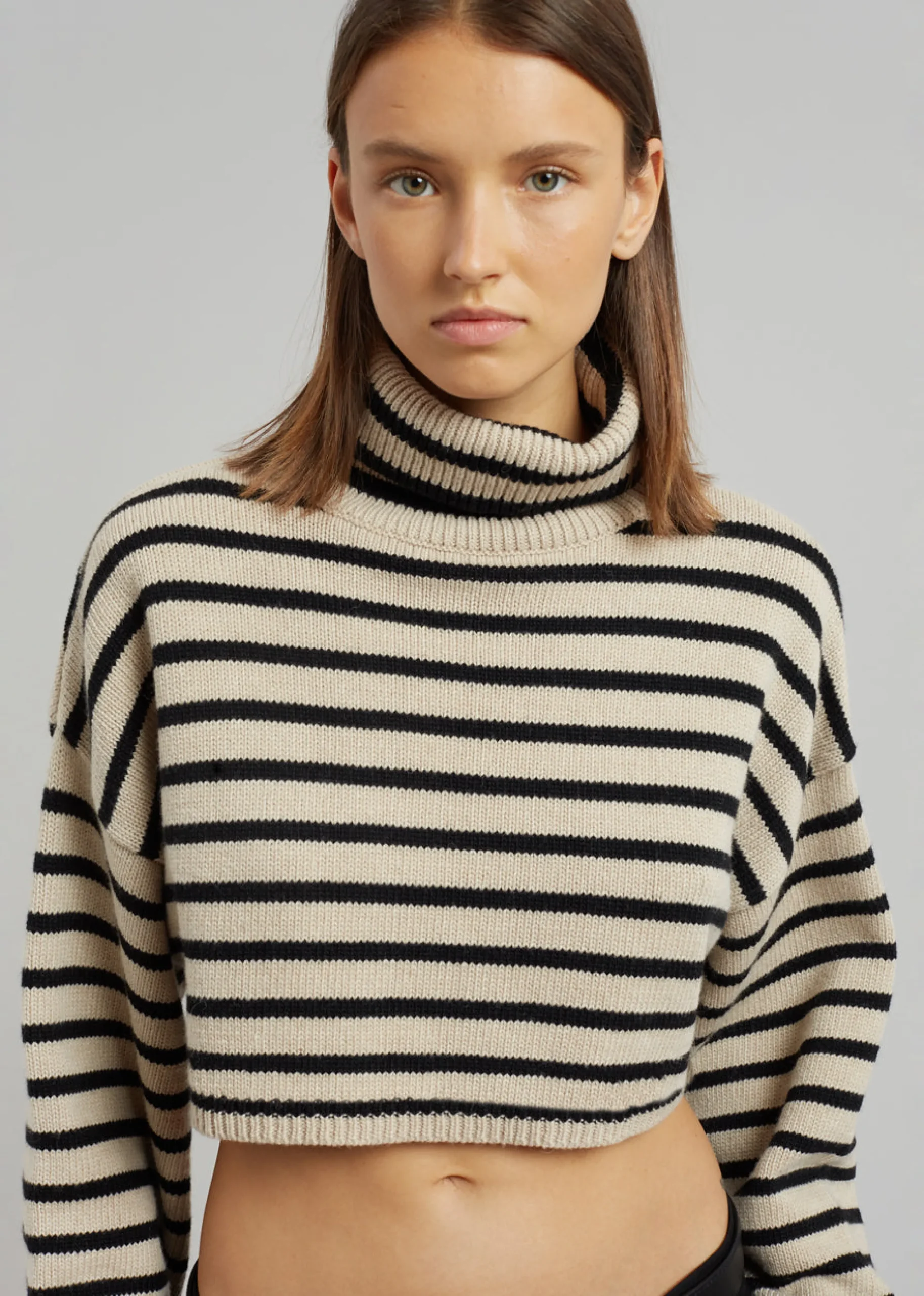 The Frankie Shop Athina Cropped Turtleneck Sweater Beige Stripe Discount