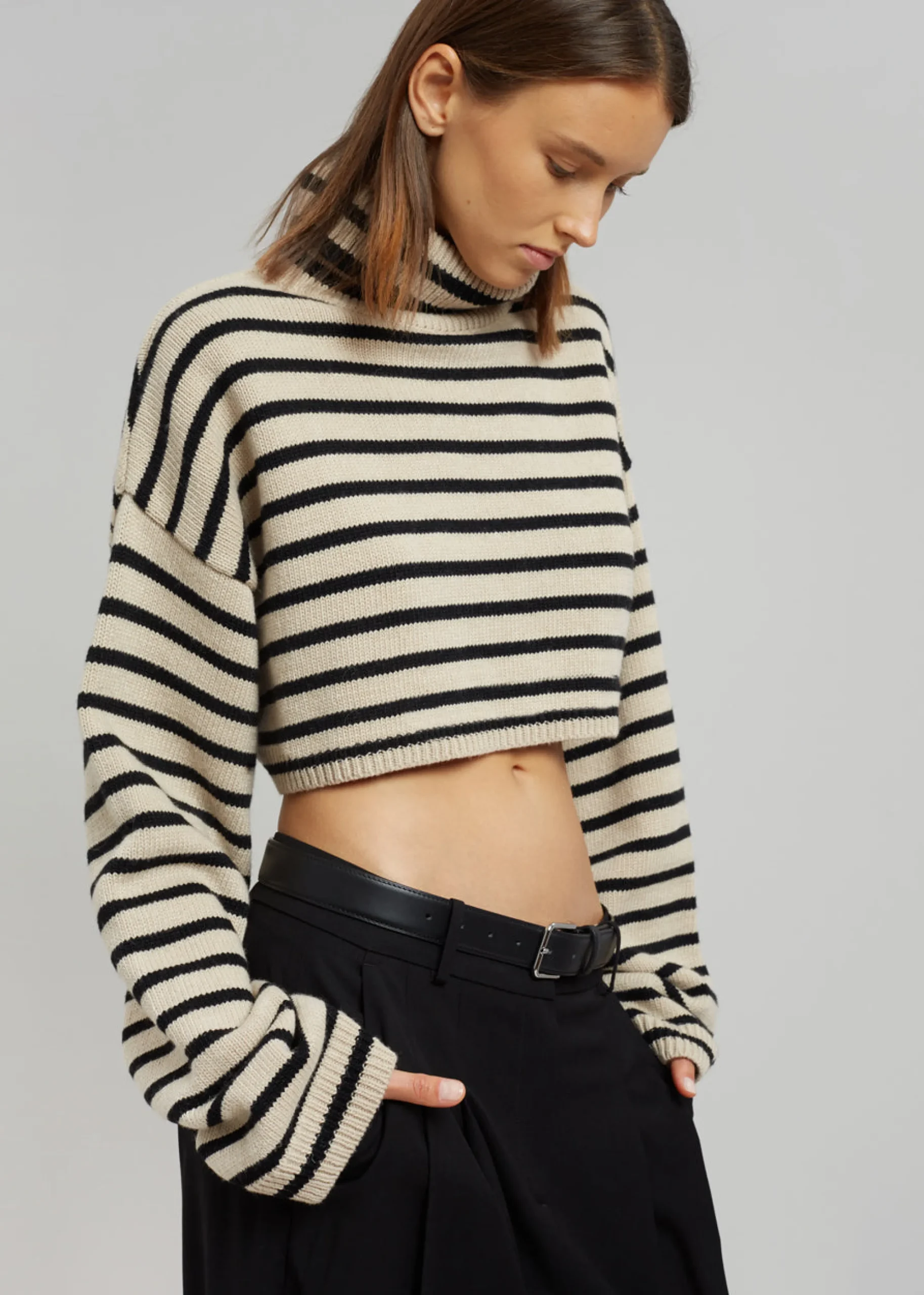 The Frankie Shop Athina Cropped Turtleneck Sweater Beige Stripe Discount