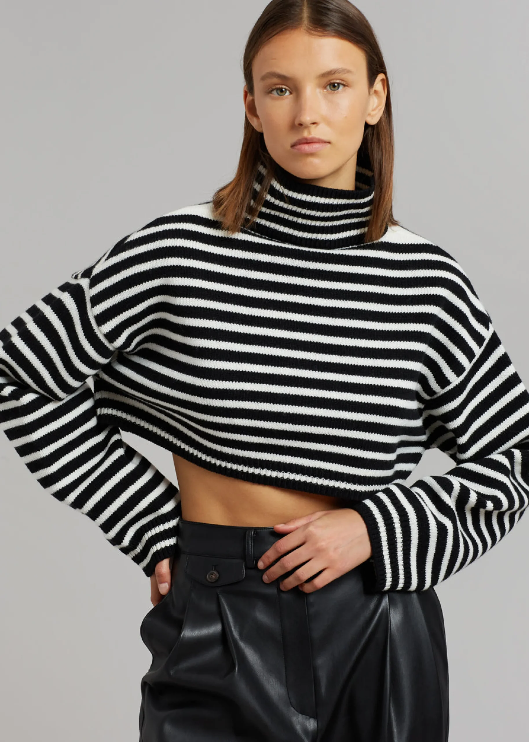 The Frankie Shop Athina Cropped Turtleneck Sweater Black Stripe