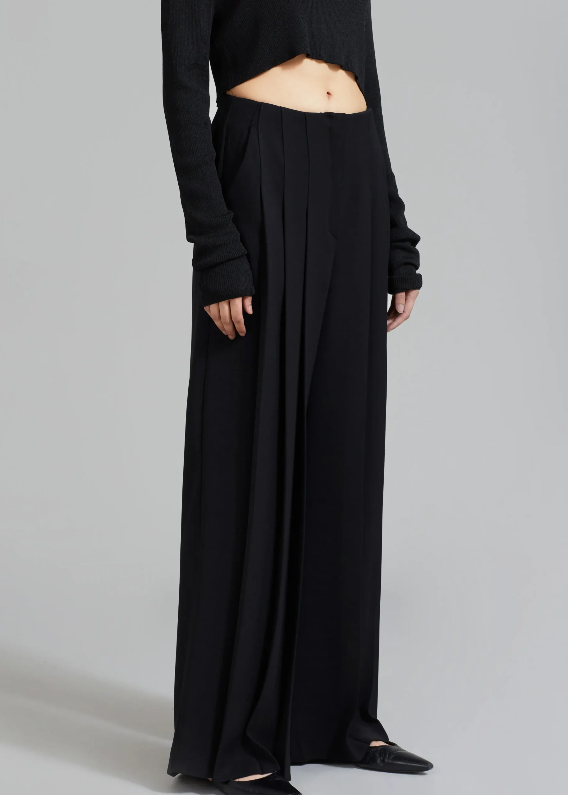 The Frankie Shop Dillon Pleated Pants Black Hot