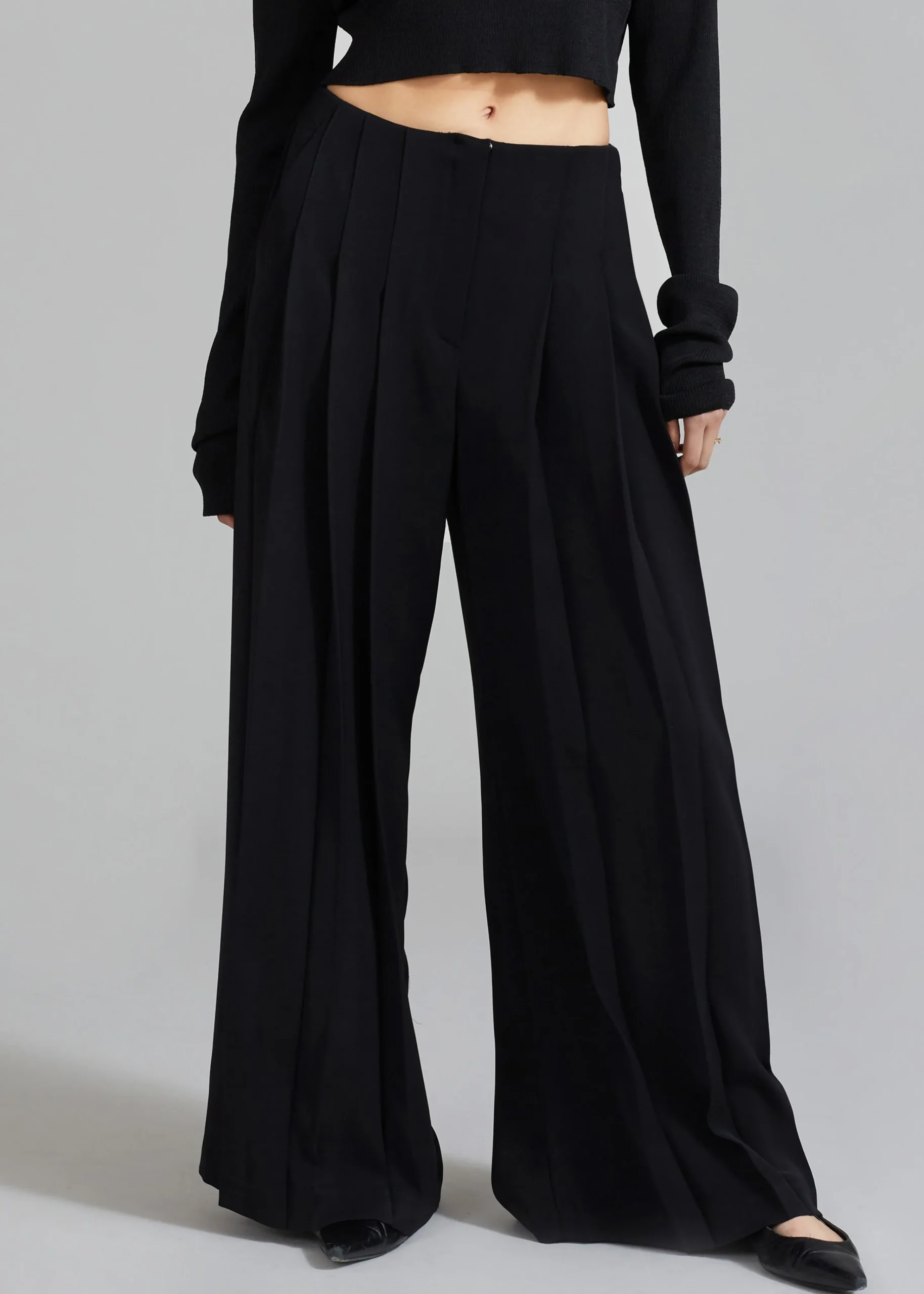 The Frankie Shop Dillon Pleated Pants Black Hot