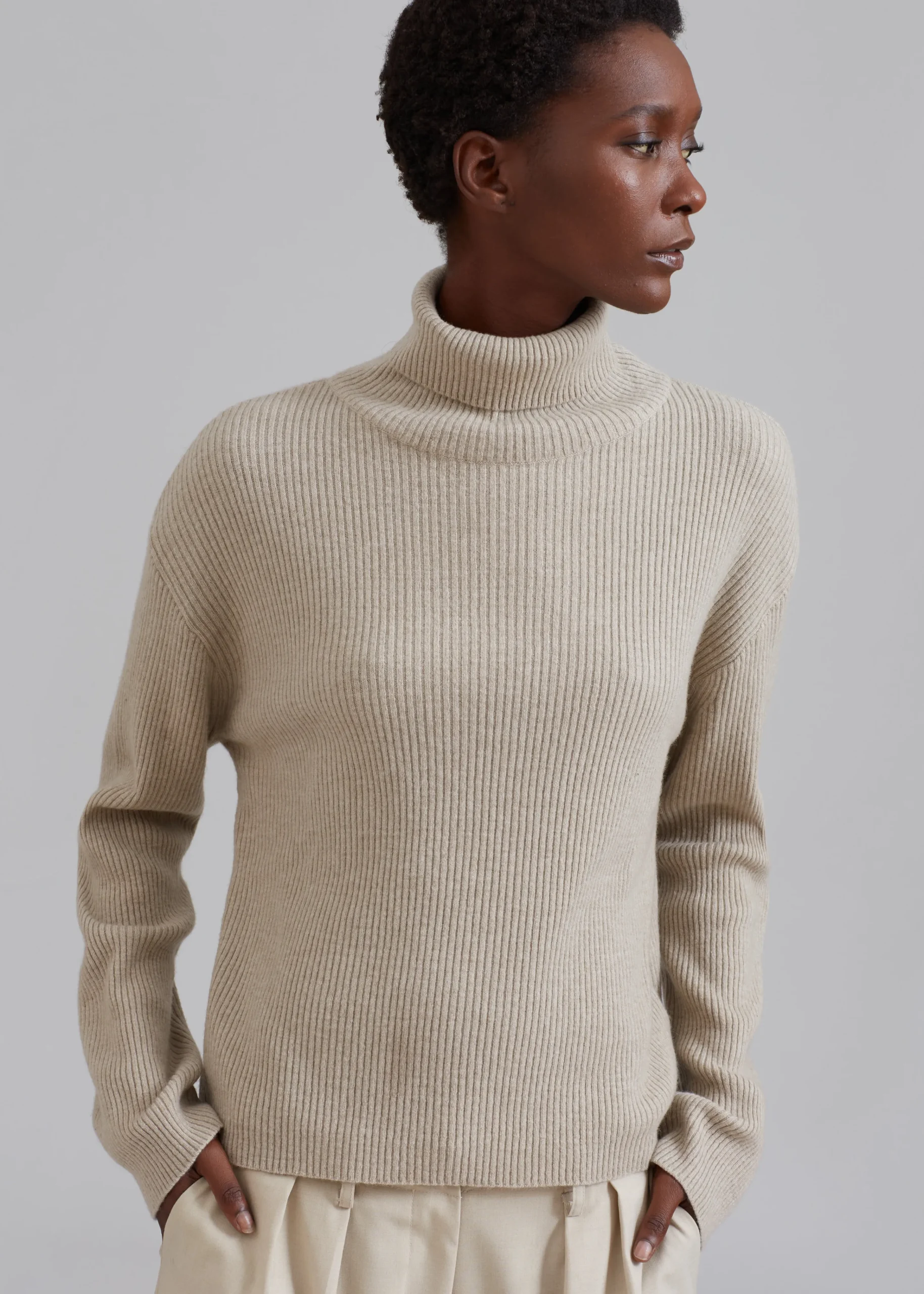 The Frankie Shop Jensen Turtleneck Sweater Taupe Best